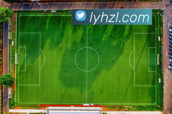 尊龙凯时平台生态图